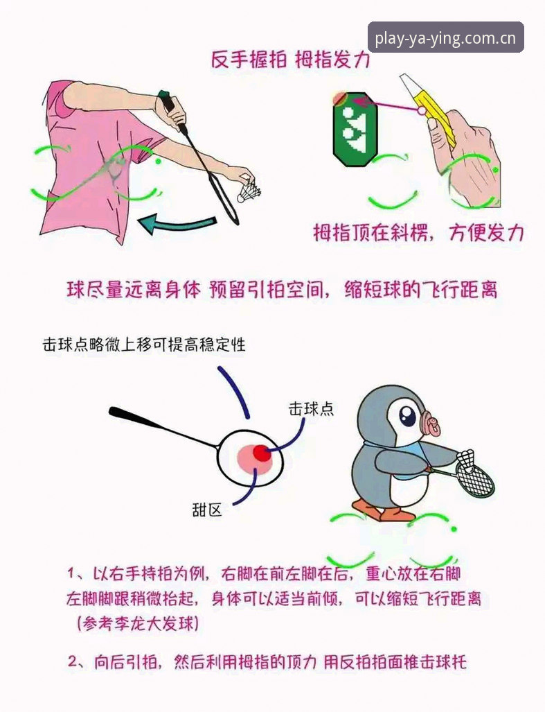亚盈体育使用教程最新动态：从下载到实战的全维度操作指南